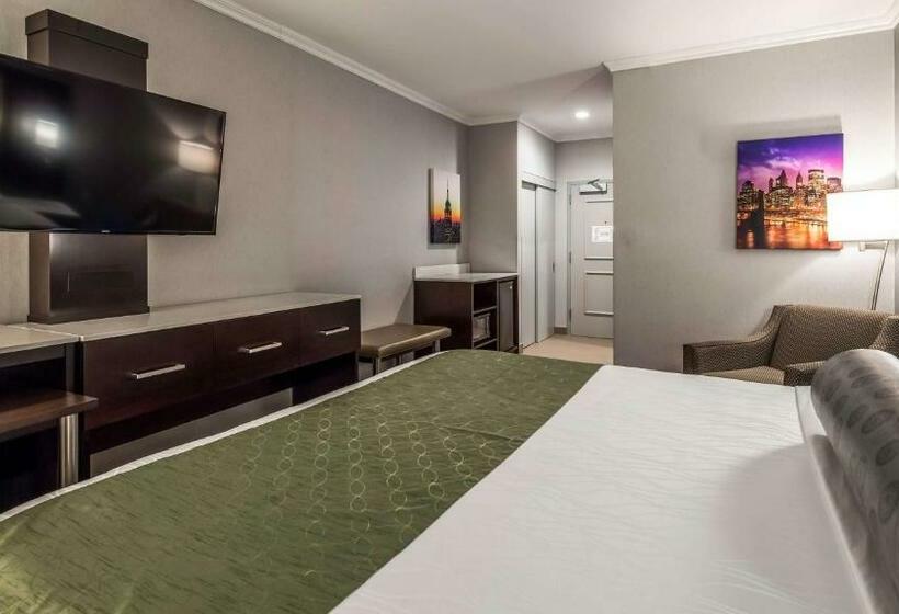 스탠다드 룸 킹사이즈 침대, Best Western Premier Nyc Gateway