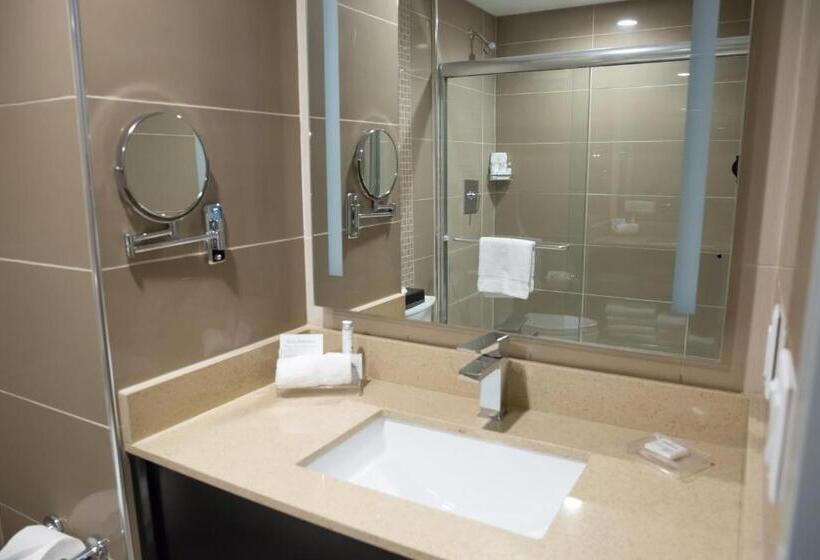 스탠다드 룸 킹사이즈 침대, Best Western Premier Nyc Gateway