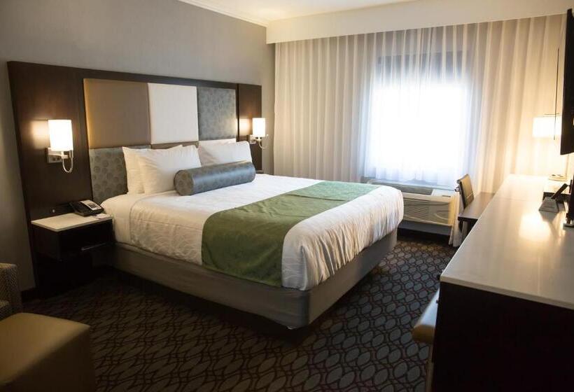 스탠다드 룸 킹사이즈 침대, Best Western Premier Nyc Gateway