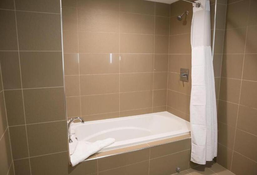 스위트 킹사이즈 침대, Best Western Premier Nyc Gateway