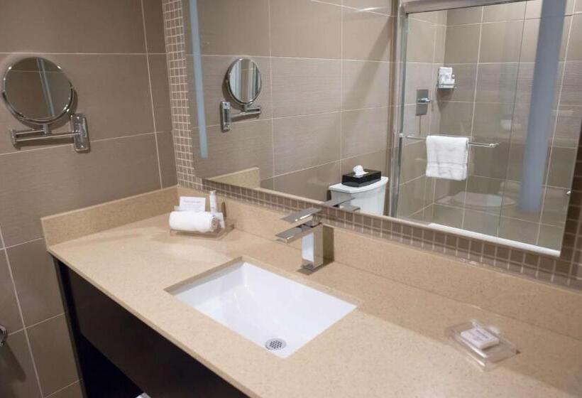 이그제큐티브 룸 킹사이즈 침대, Best Western Premier Nyc Gateway