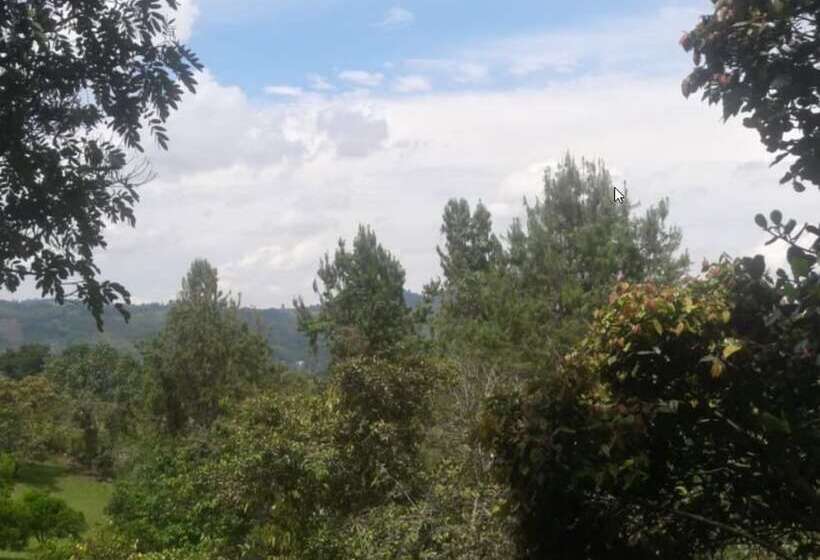 Номер Стандарт, Finca El Cielo