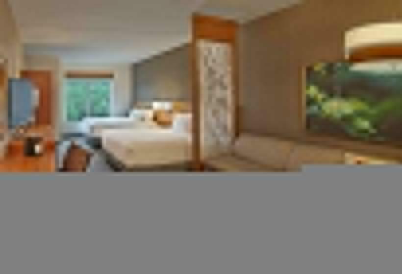 Номер Стандарт Адаптированный для Инвалидов, Hyatt Place Chapel Hill