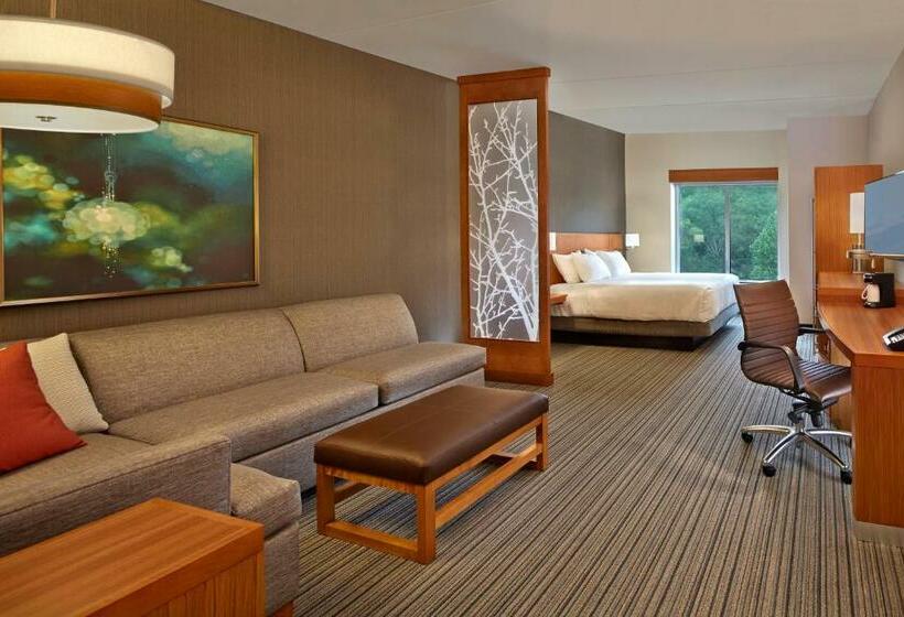 Стандартный Номер Кровать Кинг, Hyatt Place Chapel Hill