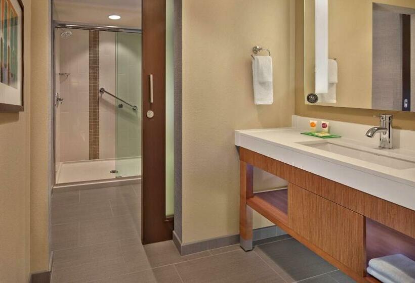 Номер Superior Кровать Кинг, Hyatt Place Chapel Hill