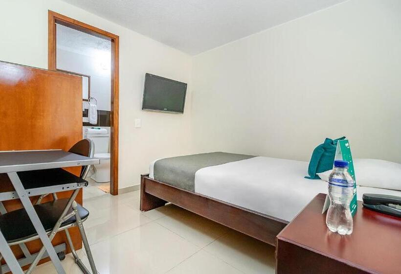 اتاق عادی, Nabusimake Modelia