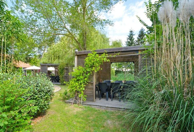 Номер Стандарт, Logis   Hotel Restaurant La Mire
