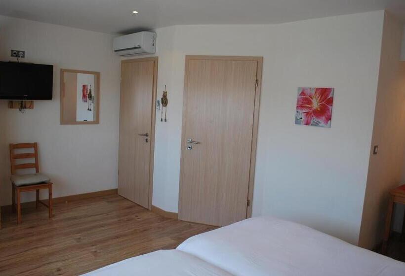 חדר סטנדרט יחיד, Chambres D'hôtes Les Vignes
