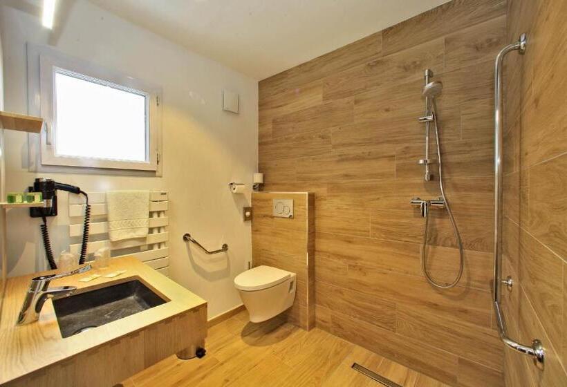 Номер Basic, Logis Hôtel La Chaize