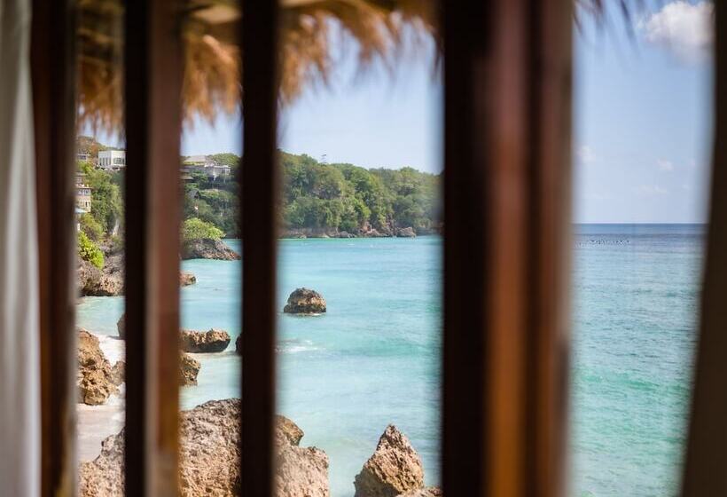 بنجلو ديلوكس, Rock'n Reef