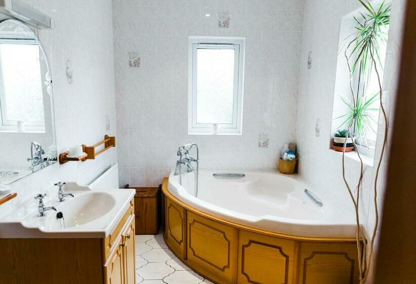 Номер Стандарт, Pentigili