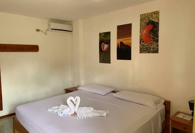 Номер Стандарт Двуспальная Кровать, Hostal White House Galapagos