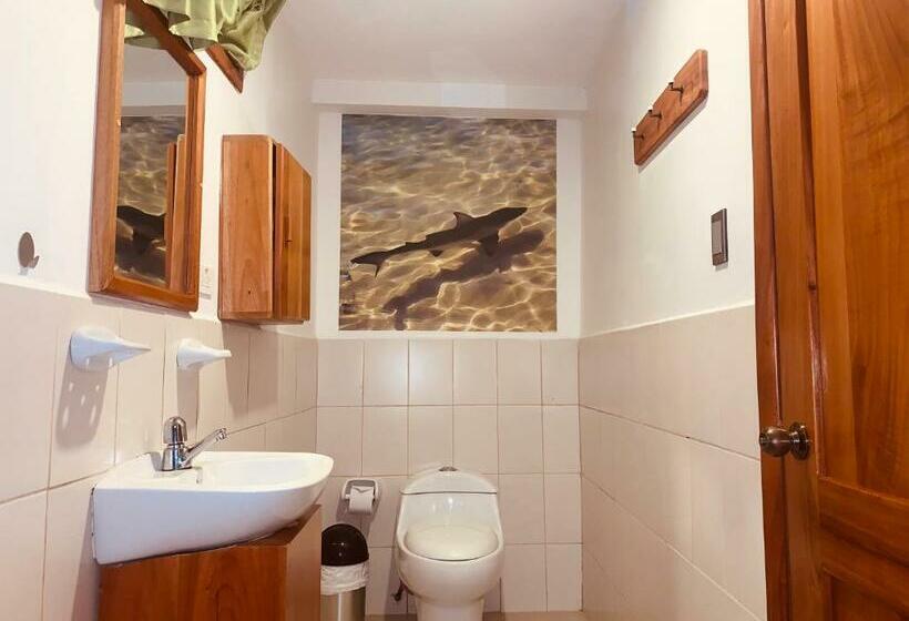 Номер Стандарт Двуспальная Кровать, Hostal White House Galapagos