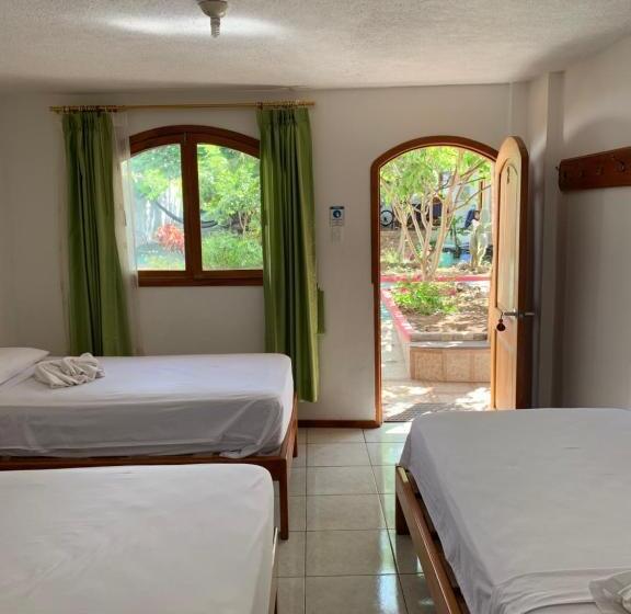 Номер Стандарт Трехместный, Hostal White House Galapagos