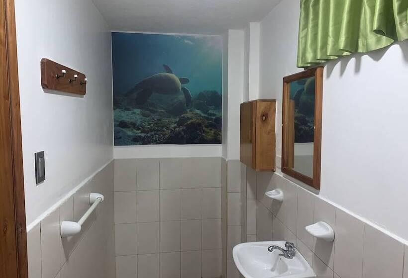 Номер Стандарт Трехместный, Hostal White House Galapagos