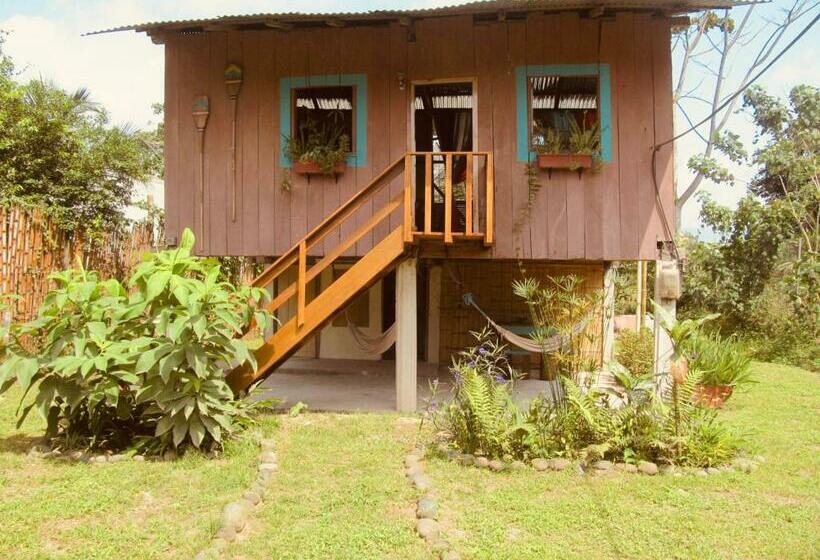 Семейное Бунгало, The Mudhouse Hostel Mompiche