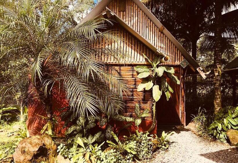 اتاق استاندارد چهار تخته, The Mudhouse Hostel Mompiche