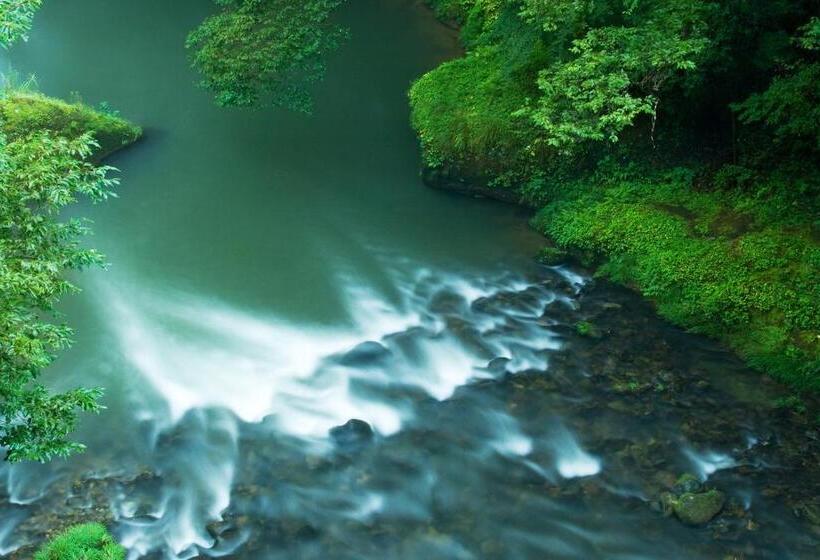 اتاق سوپریور با چشم‌انداز رودخانه, Yamanaka Onsen Kagari Kisshotei