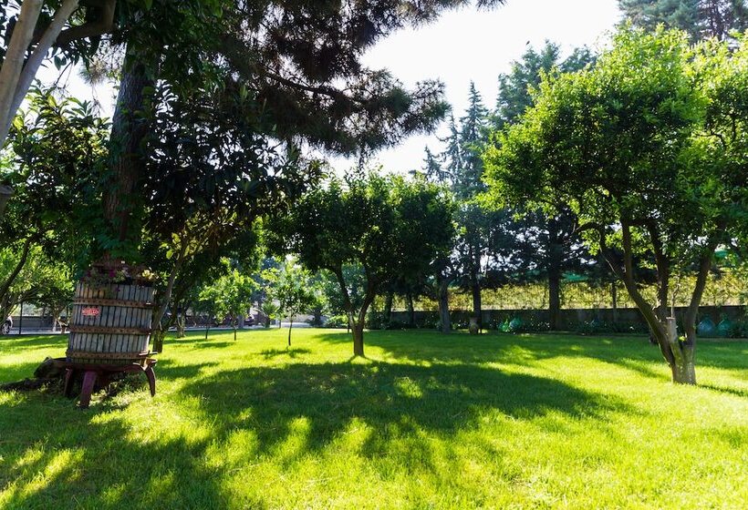 适合残疾人使用的标准间, Resort & Winery Bosco De Medici