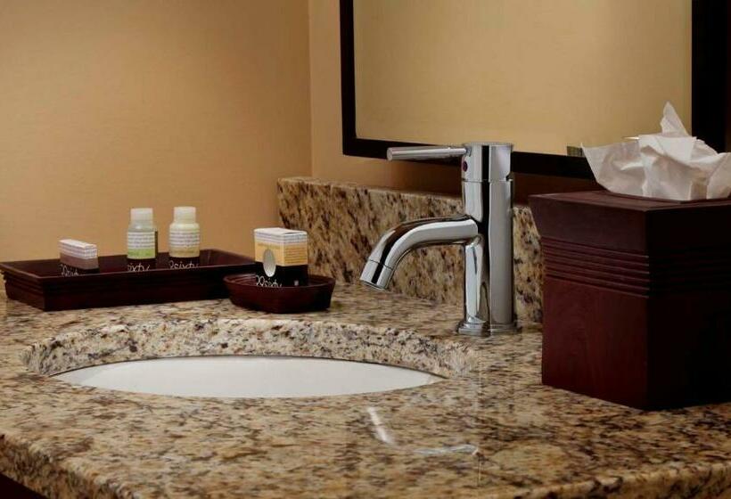 スタンダードルーム, Tailwater Lodge Altmar, Tapestry Collection By Hilton