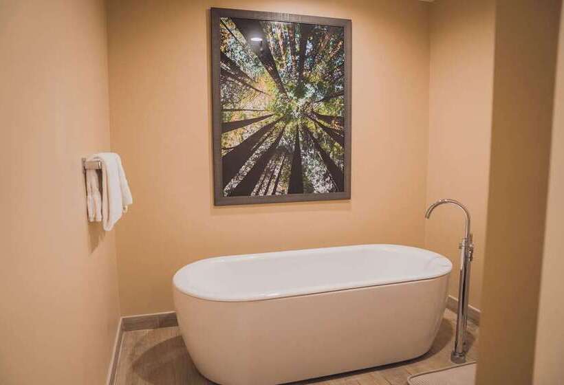 キングサイズベッドのスタンダードルーム, Tailwater Lodge Altmar, Tapestry Collection By Hilton