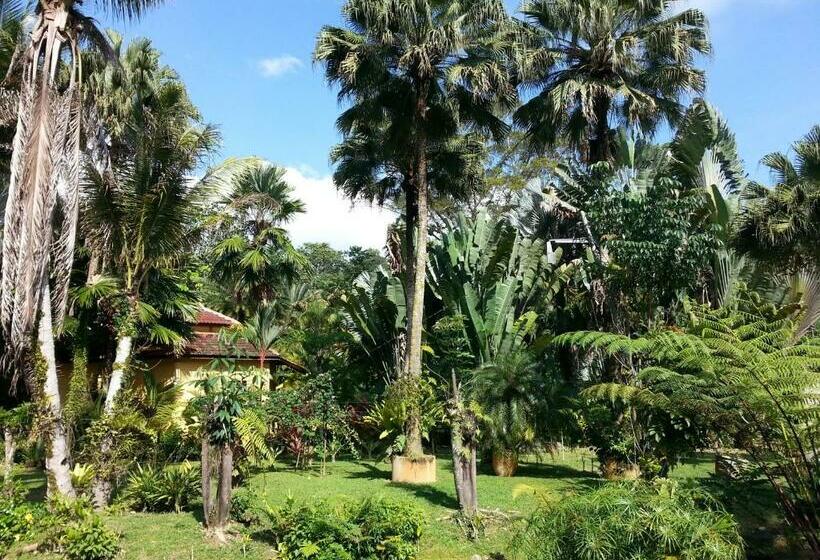 Номер Стандарт, Seri Pengantin Resort