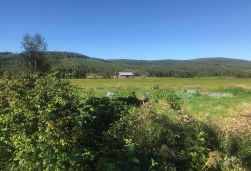 Номер Стандарт, Annas B&b
