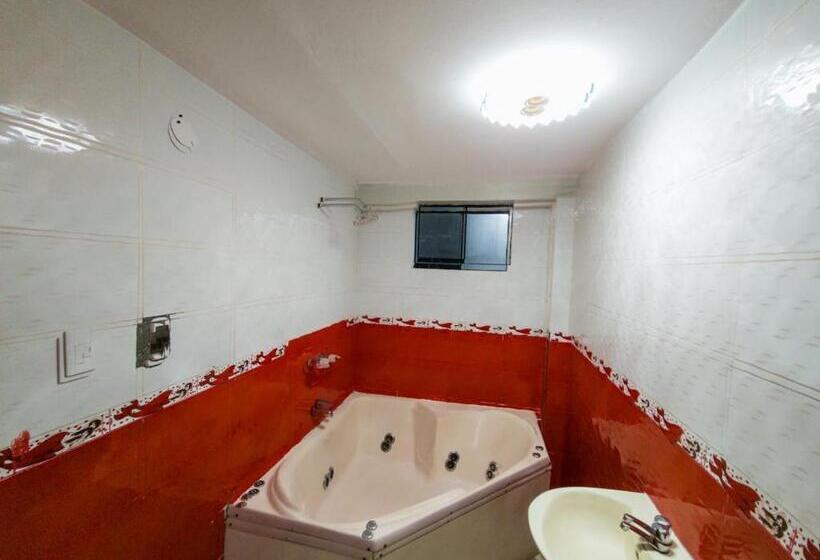 스위트, Hostal Paris