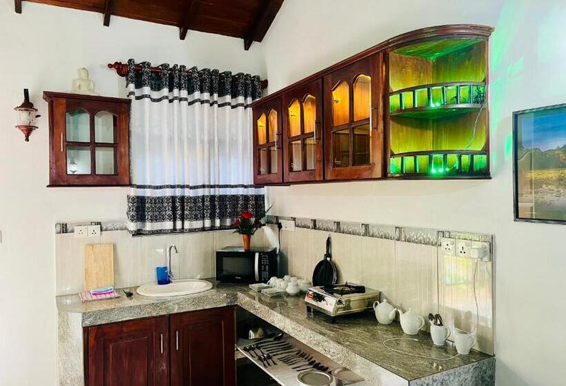 Номер Superior, Villa Roy Bentota