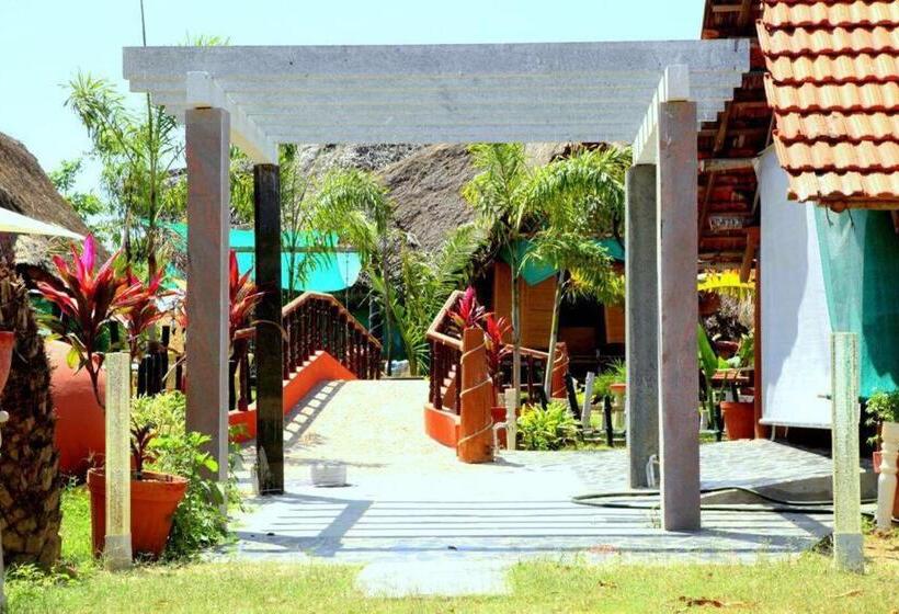 Номер Стандарт, Rose Beach Resort