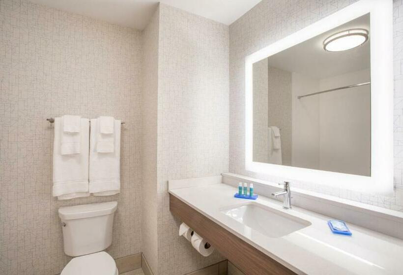 스위트 킹사이즈 침대, Holiday Inn Express & Suites Owings Mills Baltimore Area, An Ihg