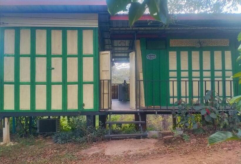 Семейный Номер, Doi Sang Farm Stay   ดอยซางฟาร์มสเตย์
