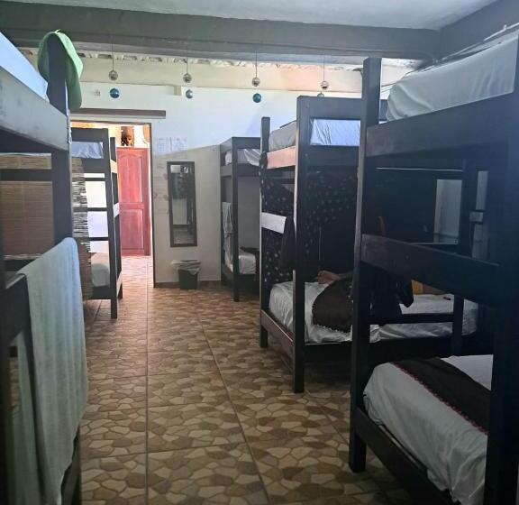 Кровать в Общей Комнате, Hidden Jems Mahahual Hostel