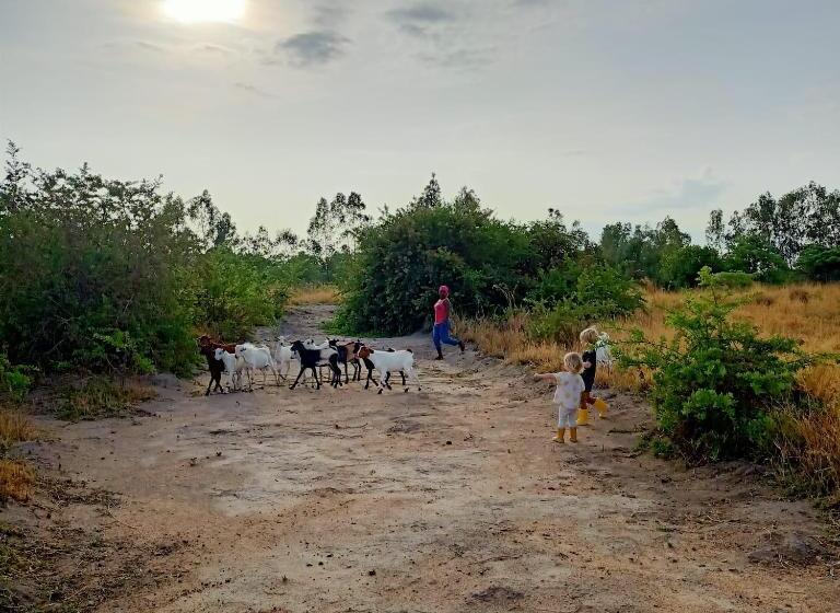 اتاق استاندارد با چشم‌انداز کوهستان, Mark S Farm & Ecolodge
