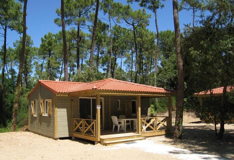 1-Bedroom Superior Chalet, Les Buissonnets