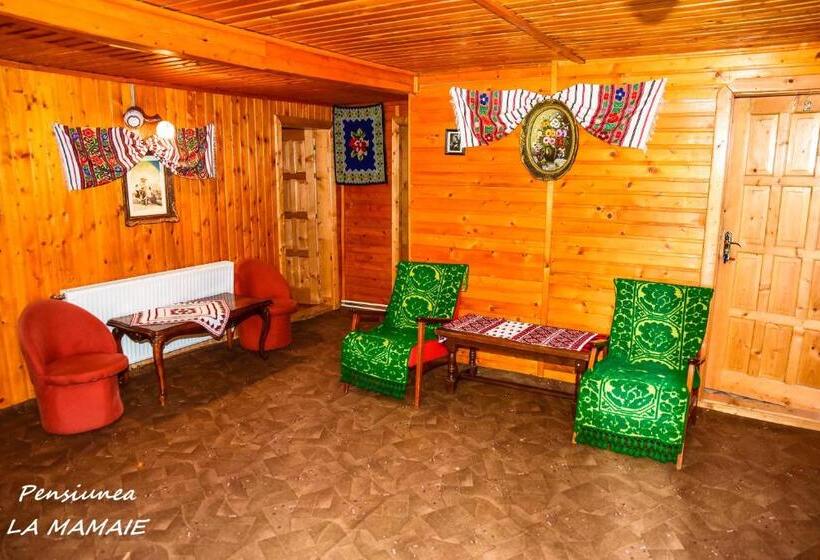 Вилла 1 Спальня, Pensiunea La Mamaie
