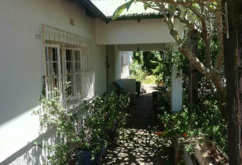 스탠다드 룸, Valley Guest House