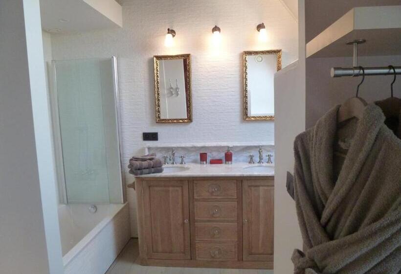 غرفة قياسية, Vijverhuis