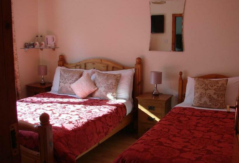 Номер Стандарт Трехместный, Padua Guest Accommodation Rosslare