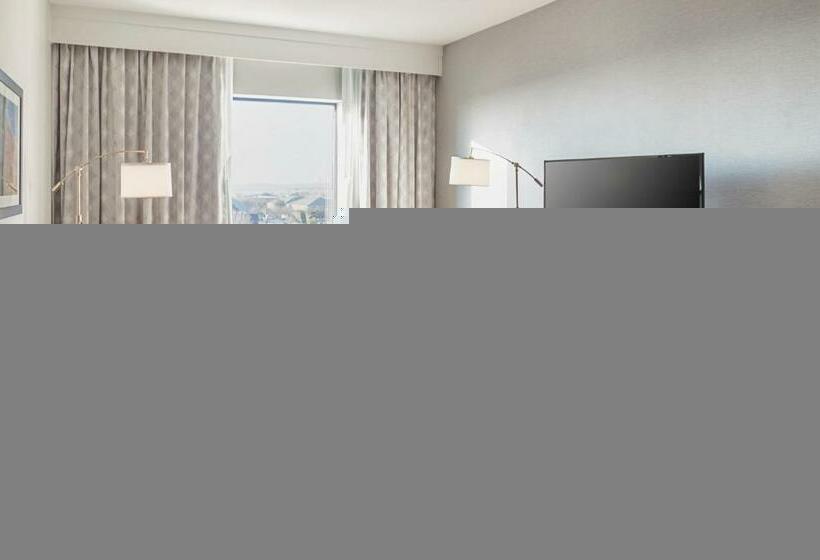 스탠다드 룸 킹사이즈 침대, Hampton Inn & Suites Colleyville Dfw Airport West