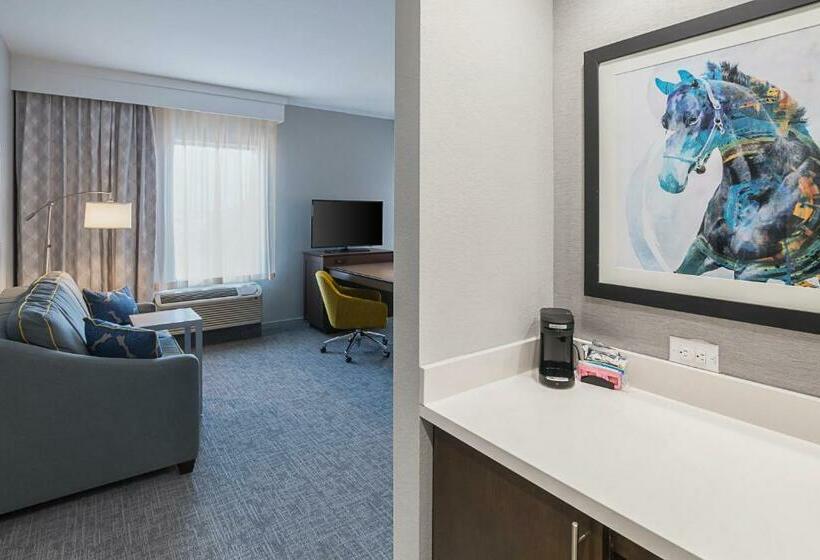 Номер Executive Кровать Кинг, Hampton Inn & Suites Colleyville Dfw Airport West