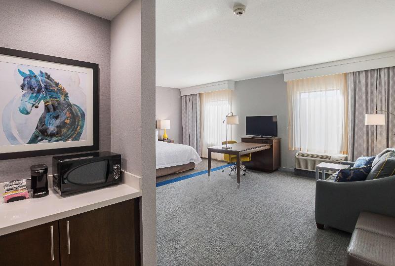 스탠다드 룸 킹사이즈 침대, Hampton Inn & Suites Colleyville Dfw Airport West