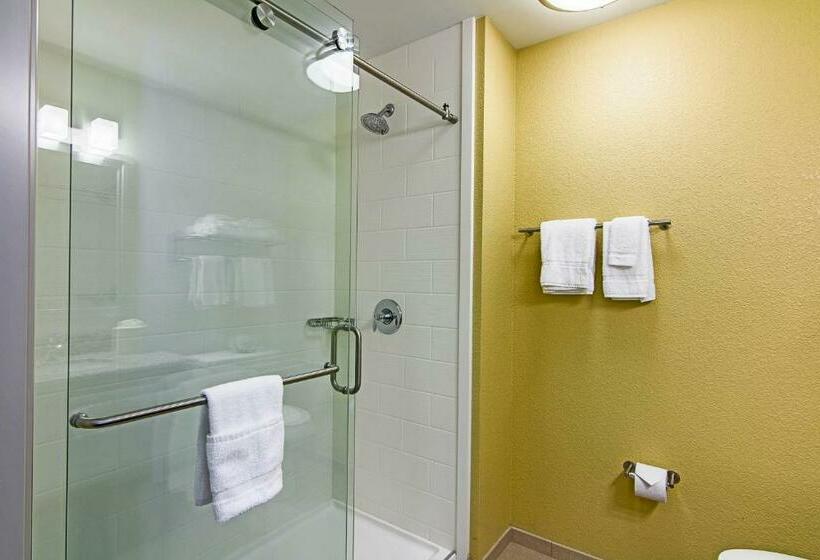 Стандартный Номер Кровать Кинг, Sleep Inn & Suites Westnear Medical Center