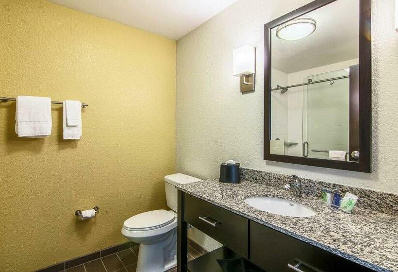 Стандартный Номер Кровать Кинг, Sleep Inn & Suites Westnear Medical Center