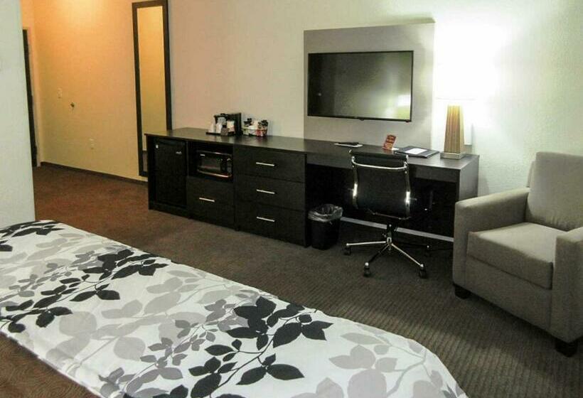 Стандартный Номер Кровать Кинг, Sleep Inn & Suites Westnear Medical Center