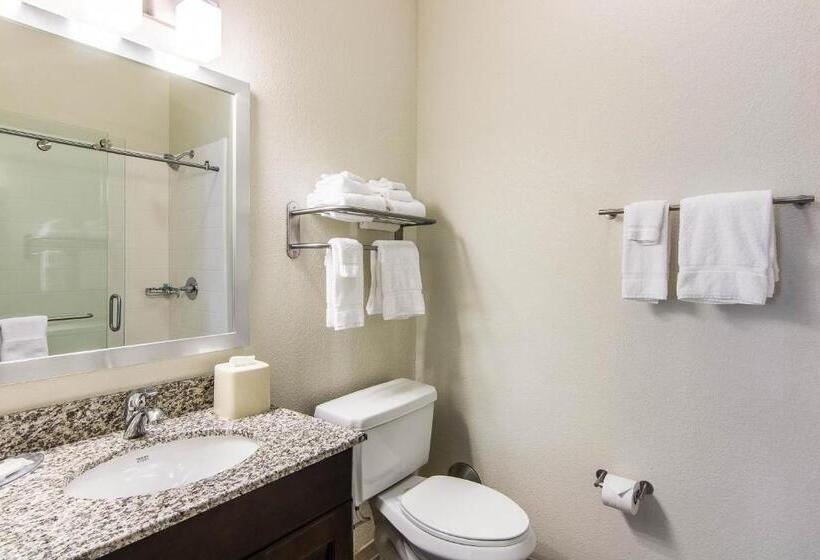 Люкс, Sleep Inn & Suites Westnear Medical Center