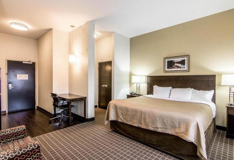 מיטת קינג בסוויטה, Sleep Inn & Suites Westnear Medical Center
