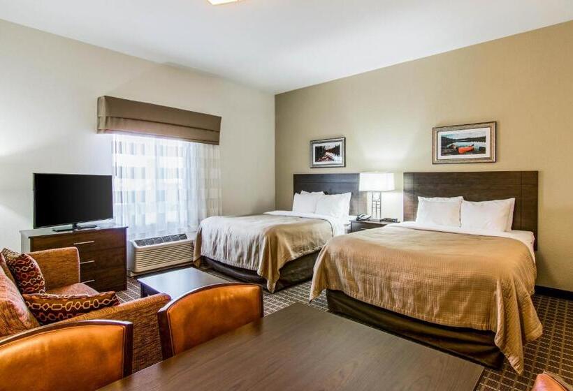 Люкс Адаптированный для Инвалидов, Sleep Inn & Suites Westnear Medical Center