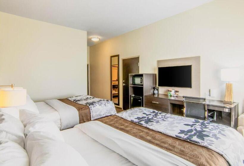 Номер Стандарт Адаптированный для Инвалидов, Sleep Inn & Suites Westnear Medical Center