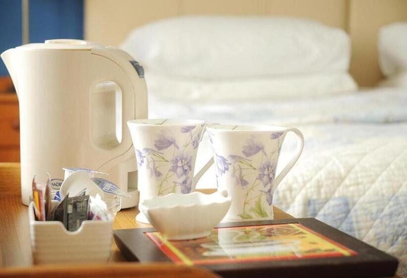 Номер Стандарт, Sneem River Lodge Bed & Breakfast